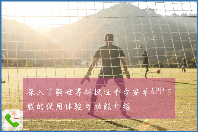 深入了解世界杯投注平台安卓APP下载的使用体验与功能介绍