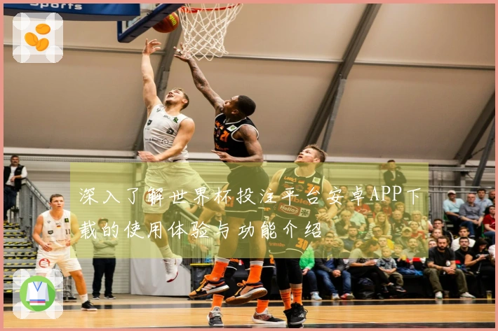 深入了解世界杯投注平台安卓APP下载的使用体验与功能介绍