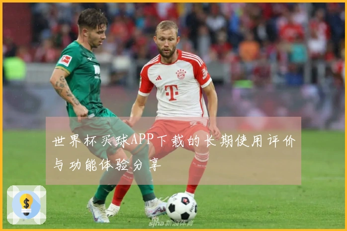 世界杯买球APP下载的长期使用评价与功能体验分享