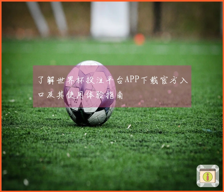 了解世界杯投注平台APP下载官方入口及其使用体验指南