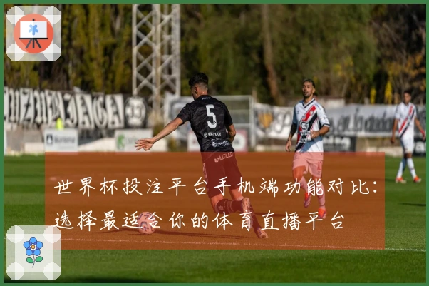 世界杯投注平台手机端功能对比：选择最适合你的体育直播平台