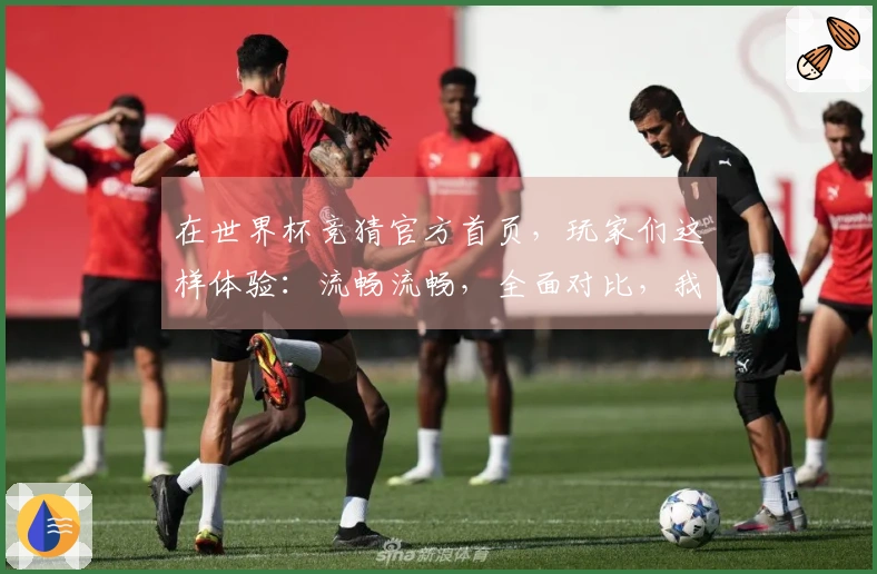 在世界杯竞猜官方首页，玩家们这样体验：流畅流畅，全面对比，我的真实感受分享